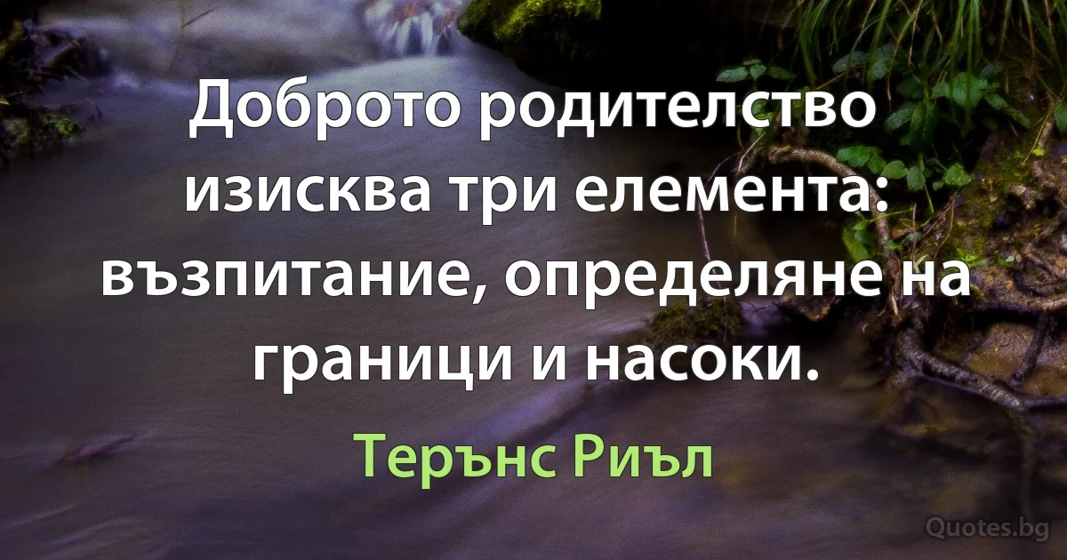 Доброто родителство изисква три елемента: възпитание, определяне на граници и насоки. (Терънс Риъл)