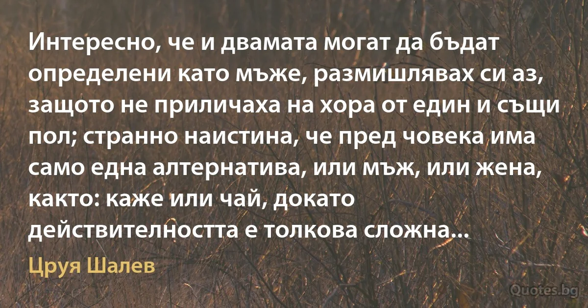 Интересно, че и двамата могат да бъдат определени като мъже, размишлявах си аз, защото не приличаха на хора от един и същи пол; странно наистина, че пред човека има само една алтернатива, или мъж, или жена, както: каже или чай, докато действителността е толкова сложна... (Цруя Шалев)