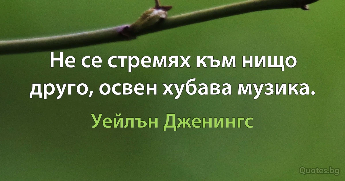 Не се стремях към нищо друго, освен хубава музика. (Уейлън Дженингс)