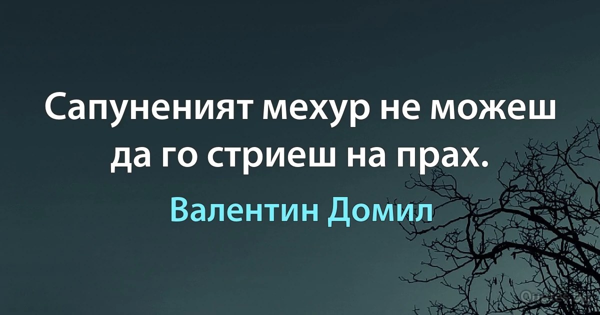 Сапуненият мехур не можеш да го стриеш на прах. (Валентин Домил)