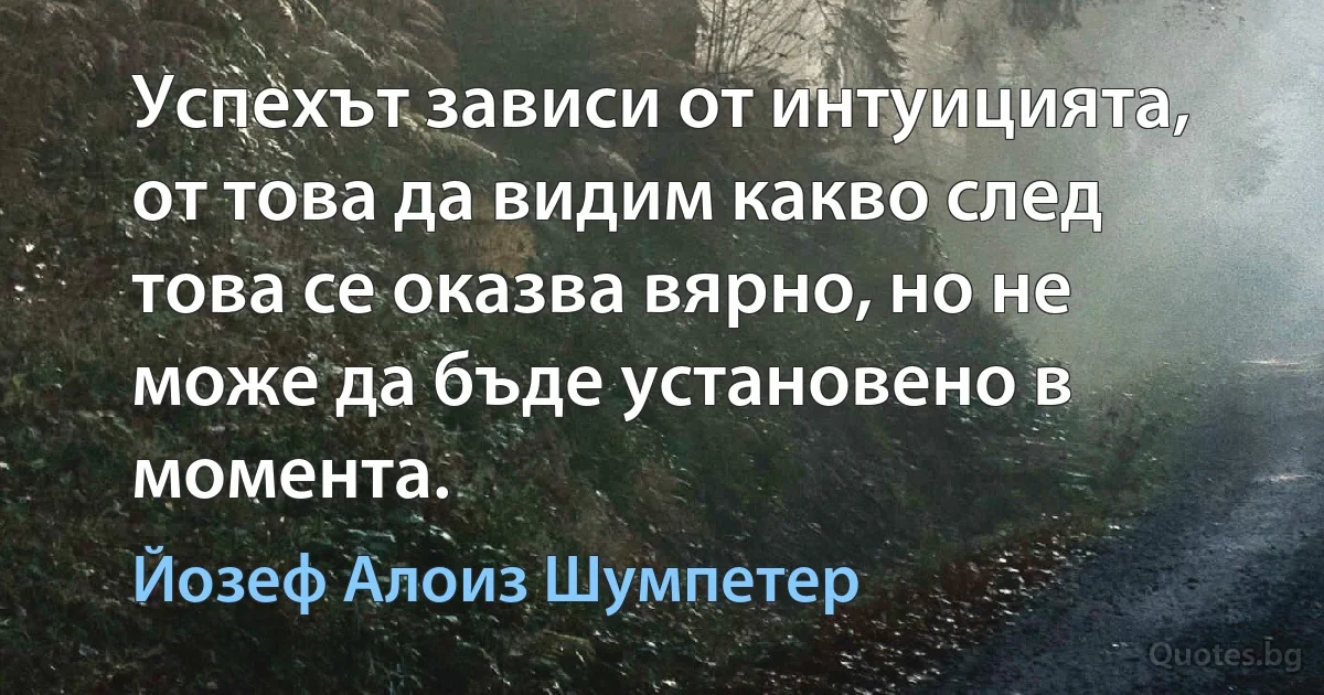 Успехът зависи от интуицията, от това да видим какво след това се оказва вярно, но не може да бъде установено в момента. (Йозеф Алоиз Шумпетер)