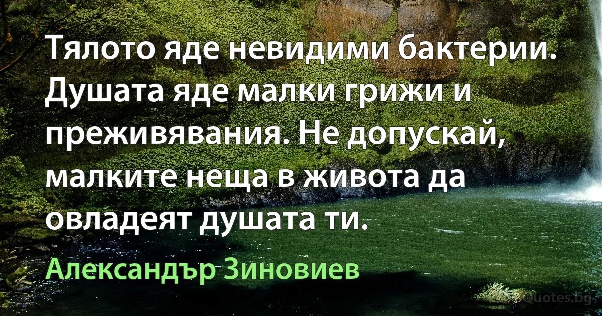 Тялото яде невидими бактерии. Душата яде малки грижи и преживявания. Не допускай, малките неща в живота да овладеят душата ти. (Александър Зиновиев)