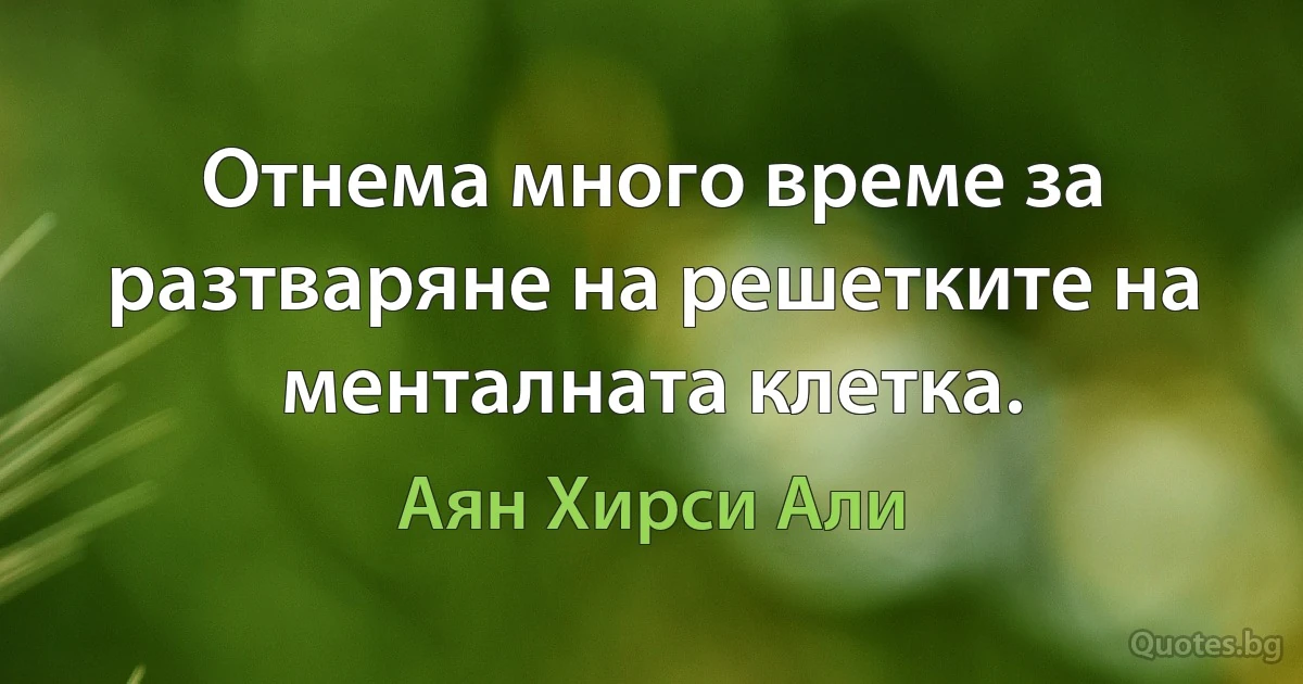 Отнема много време за разтваряне на решетките на менталната клетка. (Аян Хирси Али)