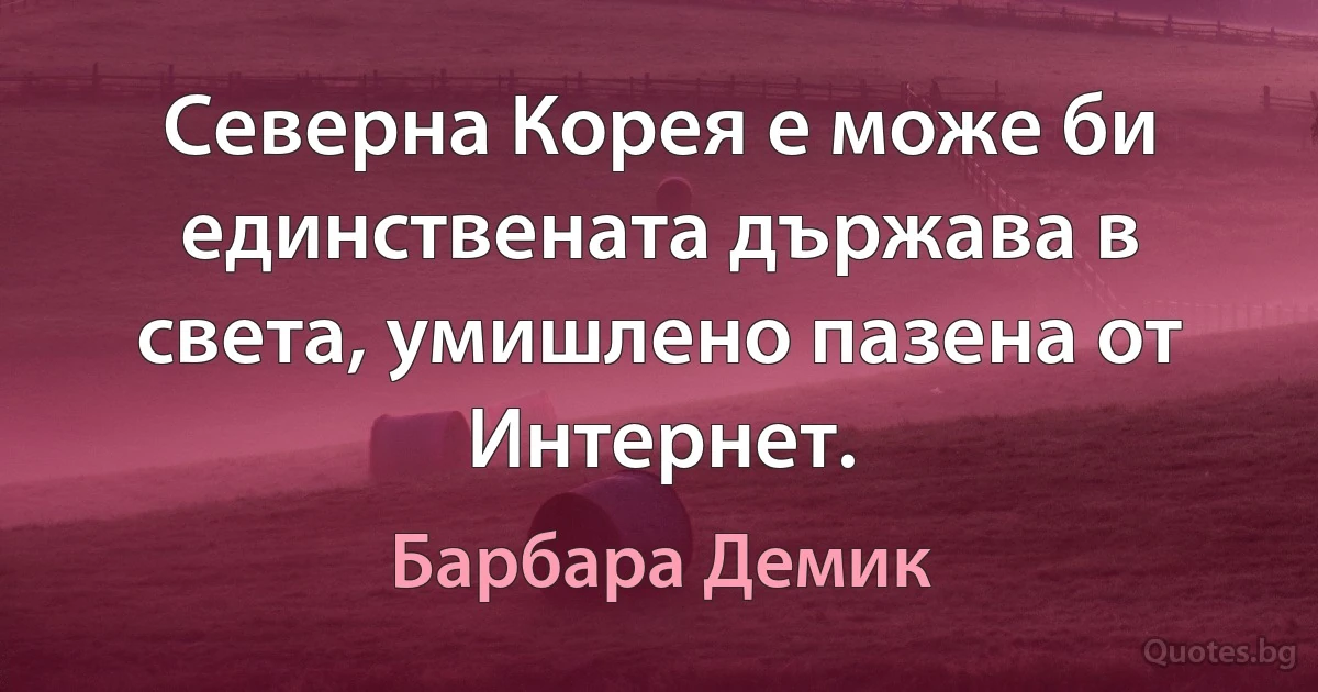 Северна Корея е може би единствената държава в света, умишлено пазена от Интернет. (Барбара Демик)