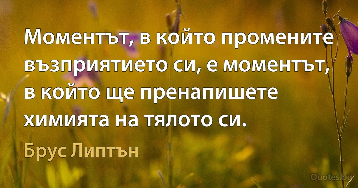 Моментът, в който промените възприятието си, е моментът, в който ще пренапишете химията на тялото си. (Брус Липтън)