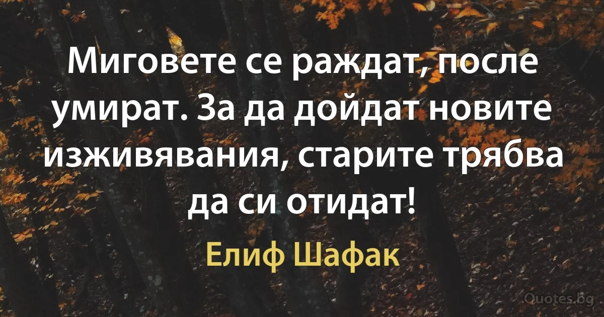 Миговете се раждат, после умират. За да дойдат новите изживявания, старите трябва да си отидат! (Елиф Шафак)