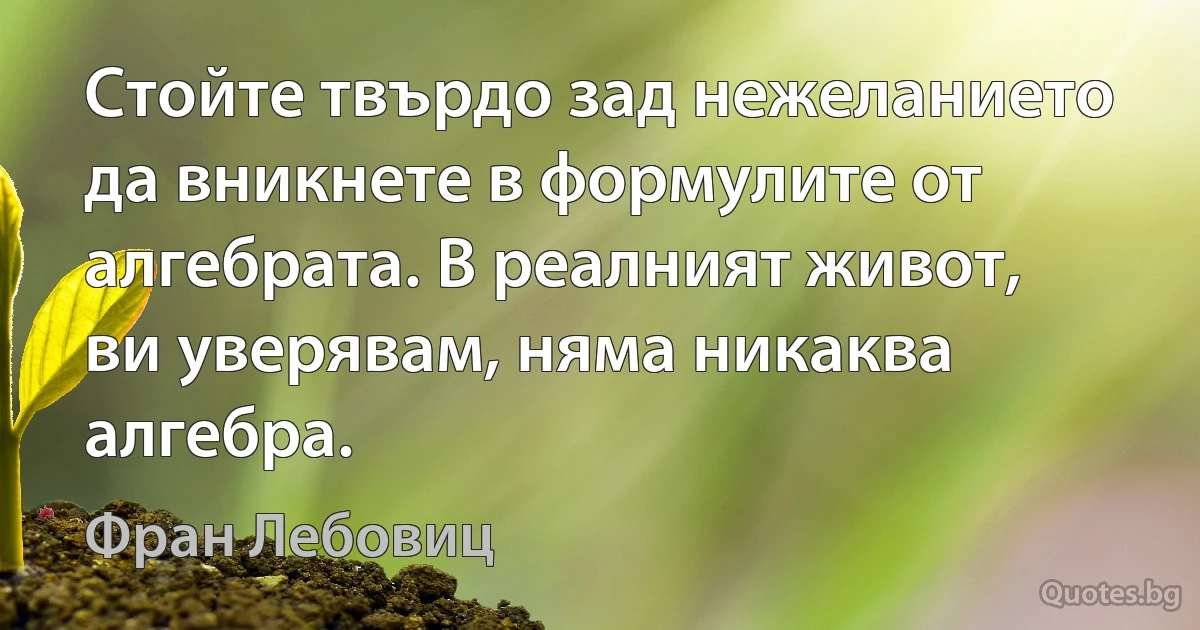 Стойте твърдо зад нежеланието да вникнете в формулите от алгебрата. В реалният живот, ви уверявам, няма никаква алгебра. (Фран Лебовиц)