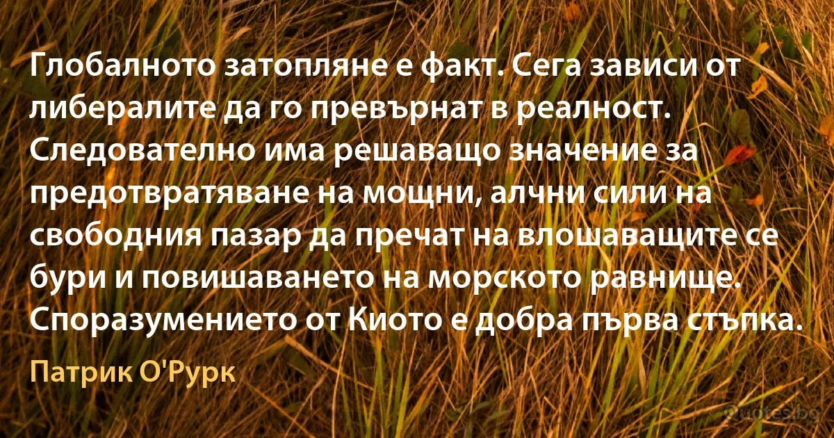 Глобалното затопляне е факт. Сега зависи от либералите да го превърнат в реалност. Следователно има решаващо значение за предотвратяване на мощни, алчни сили на свободния пазар да пречат на влошаващите се бури и повишаването на морското равнище. Споразумението от Киото е добра първа стъпка. (Патрик О'Рурк)