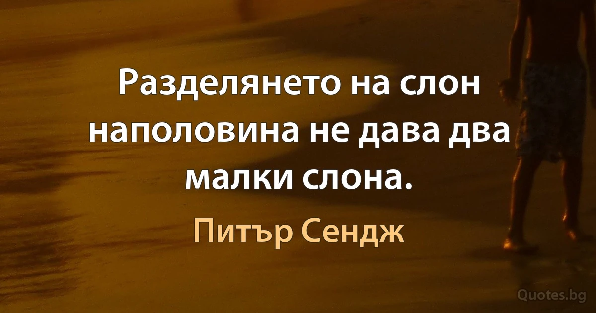 Разделянето на слон наполовина не дава два малки слона. (Питър Сендж)