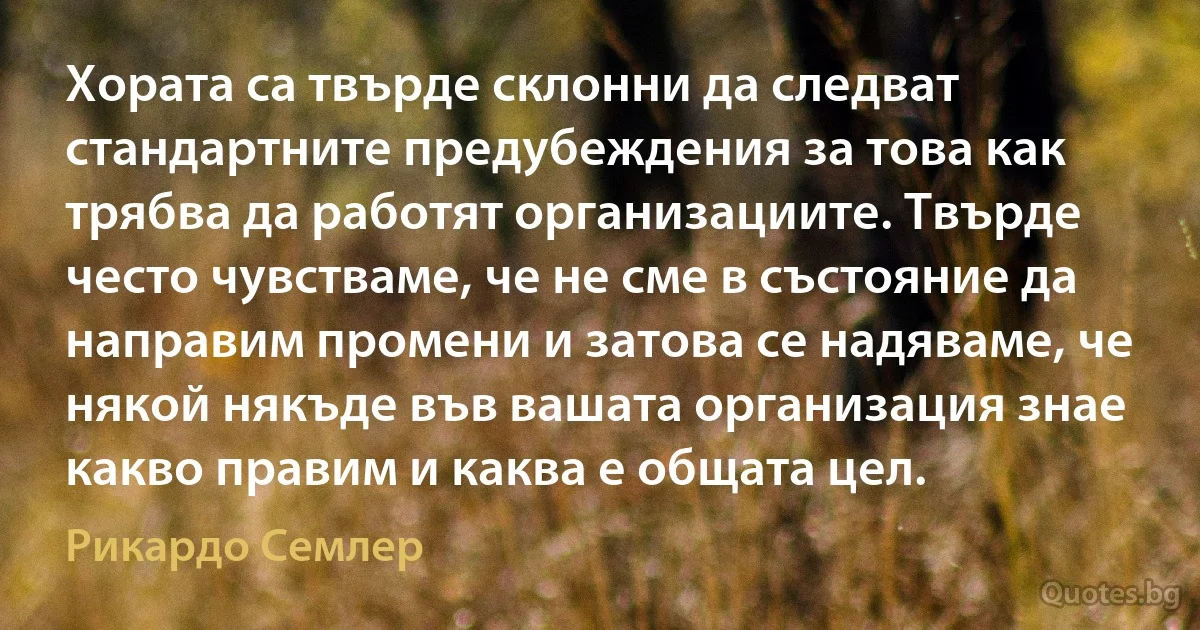 Хората са твърде склонни да следват стандартните предубеждения за това как трябва да работят организациите. Твърде често чувстваме, че не сме в състояние да направим промени и затова се надяваме, че някой някъде във вашата организация знае какво правим и каква е общата цел. (Рикардо Семлер)