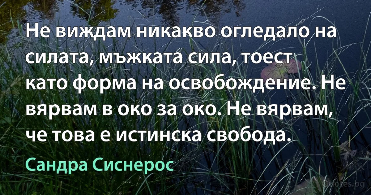 Не виждам никакво огледало на силата, мъжката сила, тоест като форма на освобождение. Не вярвам в око за око. Не вярвам, че това е истинска свобода. (Сандра Сиснерос)