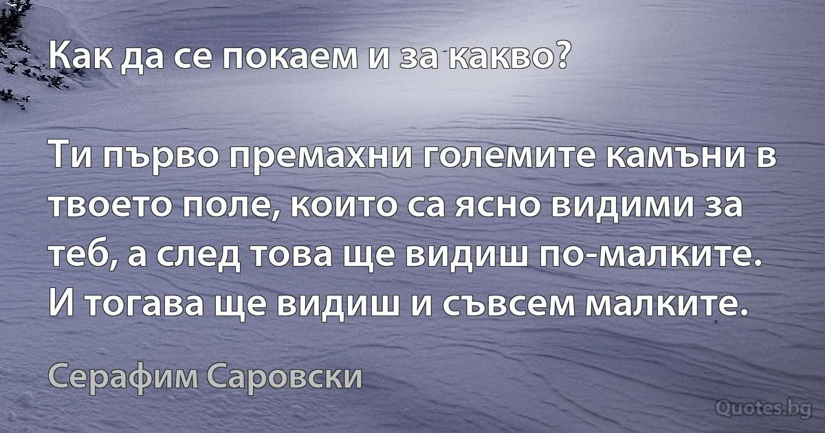 Как да се покаем и за какво?

Ти първо премахни големите камъни в твоето поле, които са ясно видими за теб, а след това ще видиш по-малките. И тогава ще видиш и съвсем малките. (Серафим Саровски)