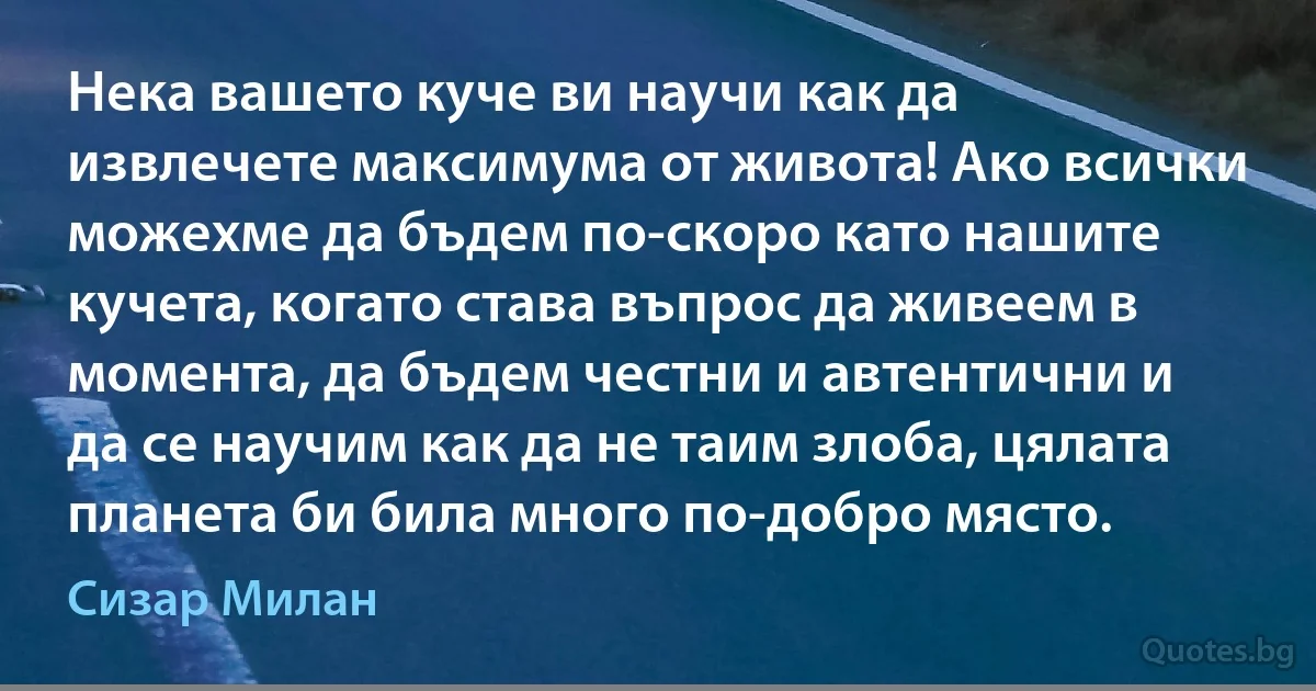 Нека вашето куче ви научи как да извлечете максимума от живота! Ако всички можехме да бъдем по-скоро като нашите кучета, когато става въпрос да живеем в момента, да бъдем честни и автентични и да се научим как да не таим злоба, цялата планета би била много по-добро място. (Сизар Милан)