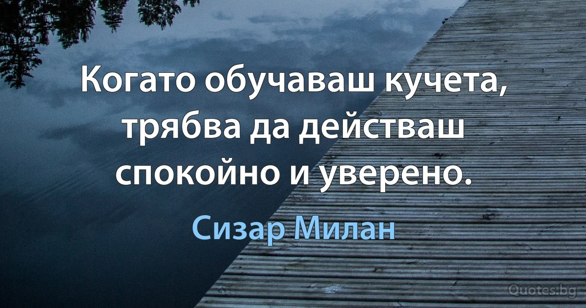 Когато обучаваш кучета, трябва да действаш спокойно и уверено. (Сизар Милан)