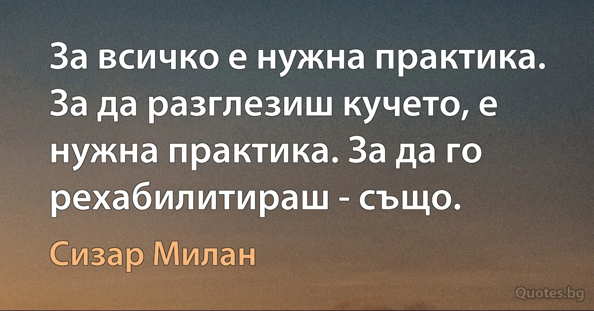 За всичко е нужна практика. За да разглезиш кучето, е нужна практика. За да го рехабилитираш - също. (Сизар Милан)