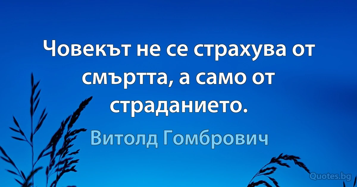 Човекът не се страхува от смъртта, а само от страданието. (Витолд Гомбрович)