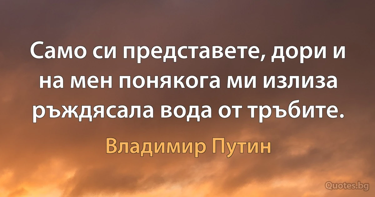 Само си представете, дори и на мен понякога ми излиза ръждясала вода от тръбите. (Владимир Путин)