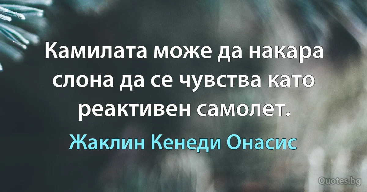 Камилата може да накара слона да се чувства като реактивен самолет. (Жаклин Кенеди Онасис)