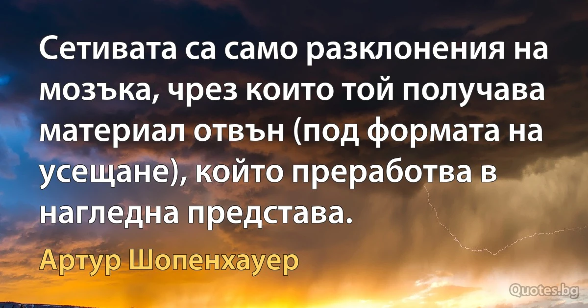 Сетивата са само разклонения на мозъка, чрез които той получава материал отвън (под формата на усещане), който преработва в нагледна представа. (Артур Шопенхауер)