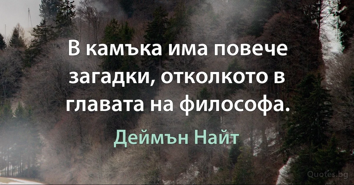 В камъка има повече загадки, отколкото в главата на философа. (Деймън Найт)