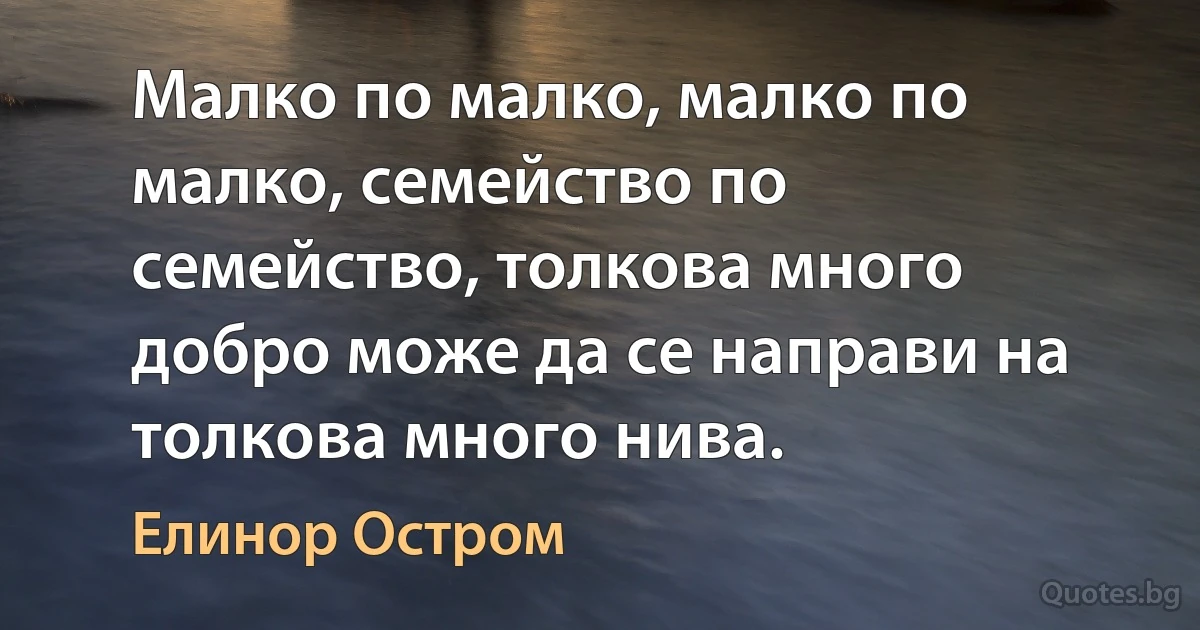 Малко по малко, малко по малко, семейство по семейство, толкова много добро може да се направи на толкова много нива. (Елинор Остром)