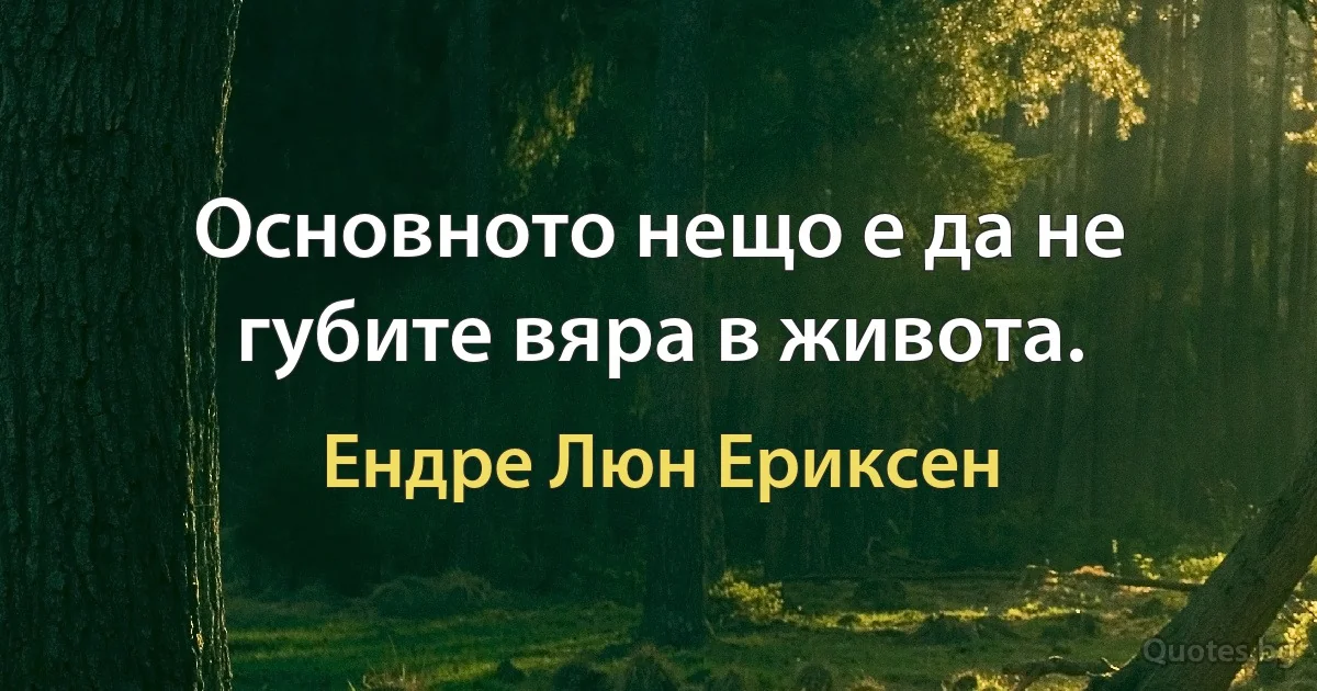 Основното нещо е да не губите вяра в живота. (Ендре Люн Ериксен)