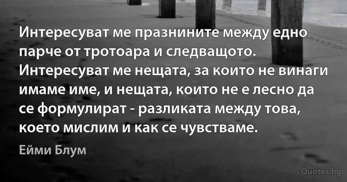 Интересуват ме празнините между едно парче от тротоара и следващото. Интересуват ме нещата, за които не винаги имаме име, и нещата, които не е лесно да се формулират - разликата между това, което мислим и как се чувстваме. (Ейми Блум)