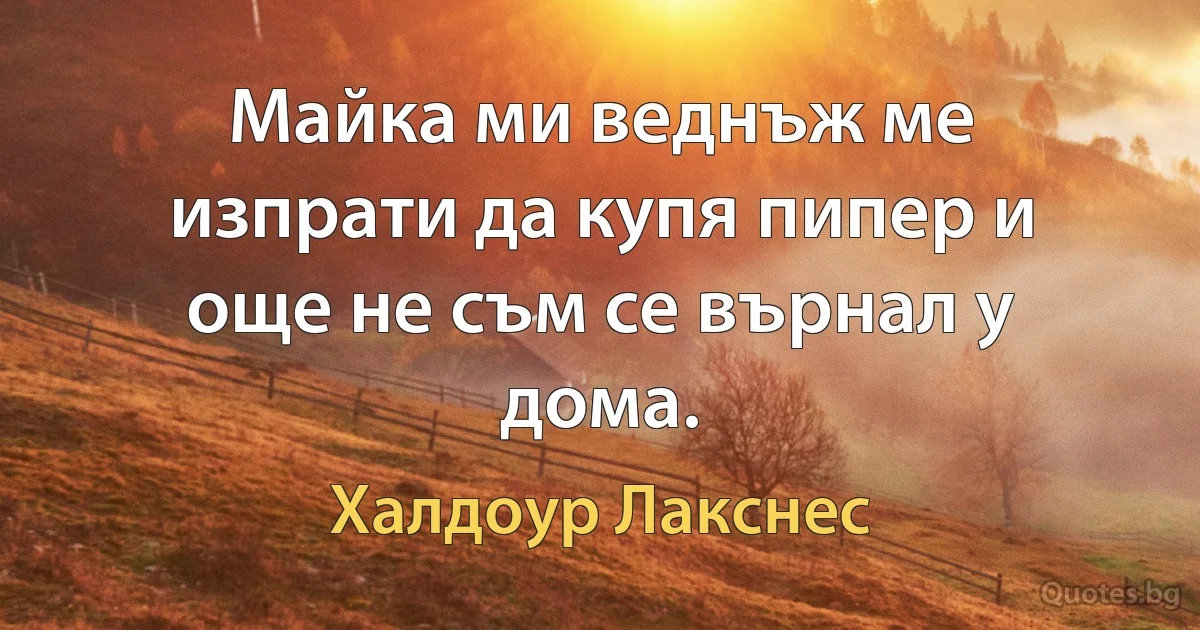 Майка ми веднъж ме изпрати да купя пипер и още не съм се върнал у дома. (Халдоур Лакснес)