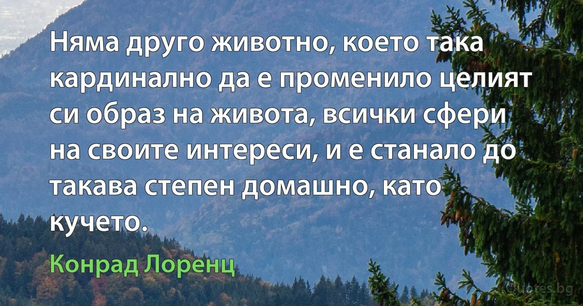 Няма друго животно, което така кардинално да е променило целият си образ на живота, всички сфери на своите интереси, и е станало до такава степен домашно, като кучето. (Конрад Лоренц)