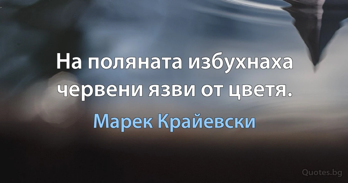 На поляната избухнаха червени язви от цветя. (Марек Крайевски)