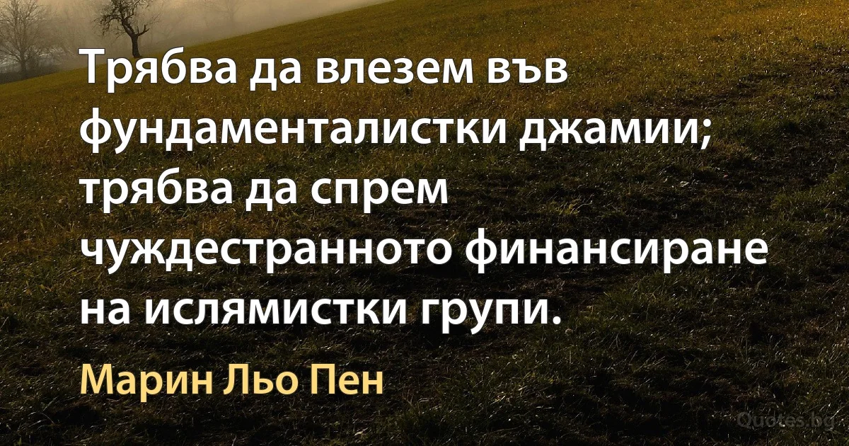 Трябва да влезем във фундаменталистки джамии; трябва да спрем чуждестранното финансиране на ислямистки групи. (Марин Льо Пен)