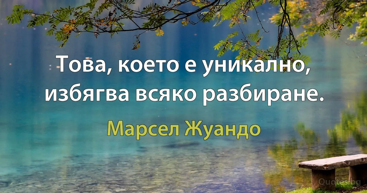 Това, което е уникално, избягва всяко разбиране. (Марсел Жуандо)