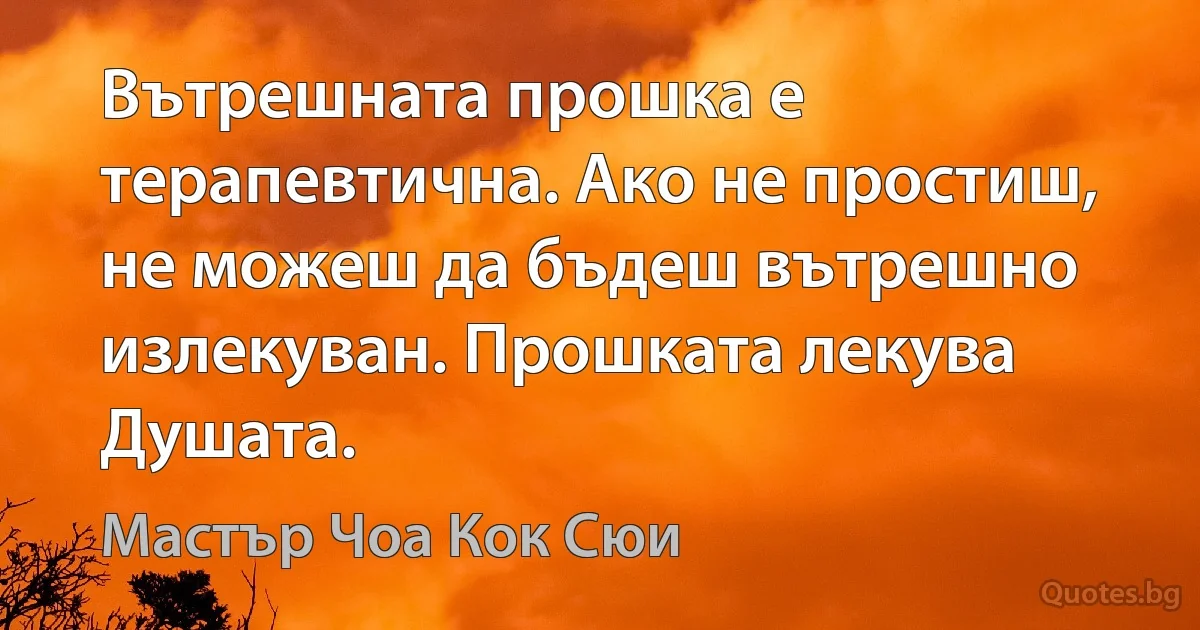 Вътрешната прошка е терапевтична. Ако не простиш, не можеш да бъдеш вътрешно излекуван. Прошката лекува Душата. (Мастър Чоа Кок Сюи)