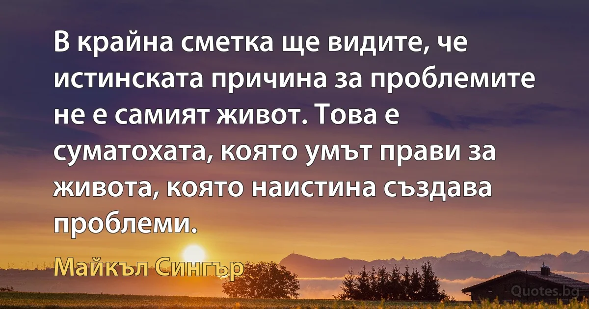 В крайна сметка ще видите, че истинската причина за проблемите не е самият живот. Това е суматохата, която умът прави за живота, която наистина създава проблеми. (Майкъл Сингър)