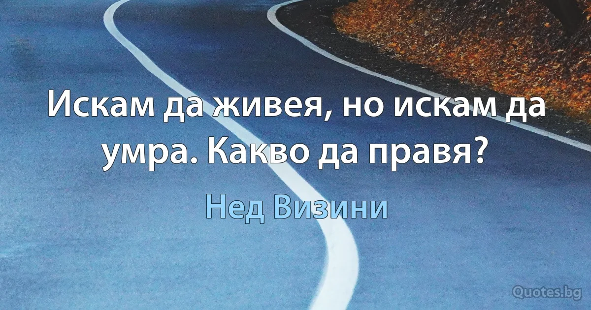 Искам да живея, но искам да умра. Какво да правя? (Нед Визини)