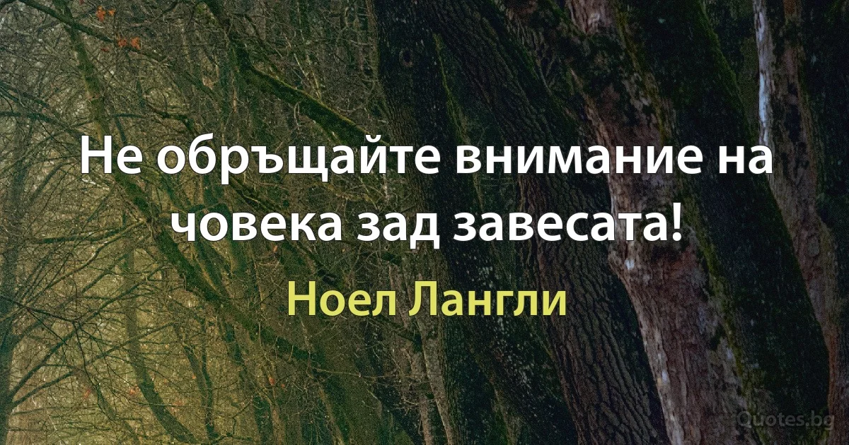 Не обръщайте внимание на човека зад завесата! (Ноел Лангли)