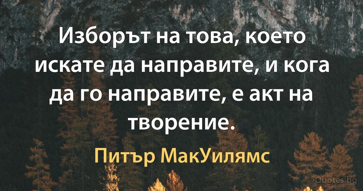 Изборът на това, което искате да направите, и кога да го направите, е акт на творение. (Питър МакУилямс)