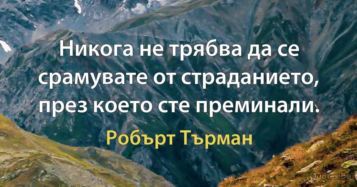 Никога не трябва да се срамувате от страданието, през което сте преминали. (Робърт Търман)