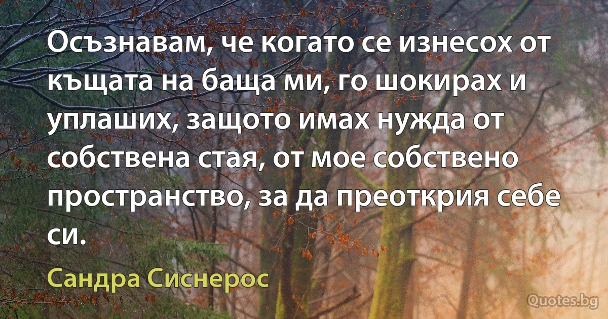 Осъзнавам, че когато се изнесох от къщата на баща ми, го шокирах и уплаших, защото имах нужда от собствена стая, от мое собствено пространство, за да преоткрия себе си. (Сандра Сиснерос)