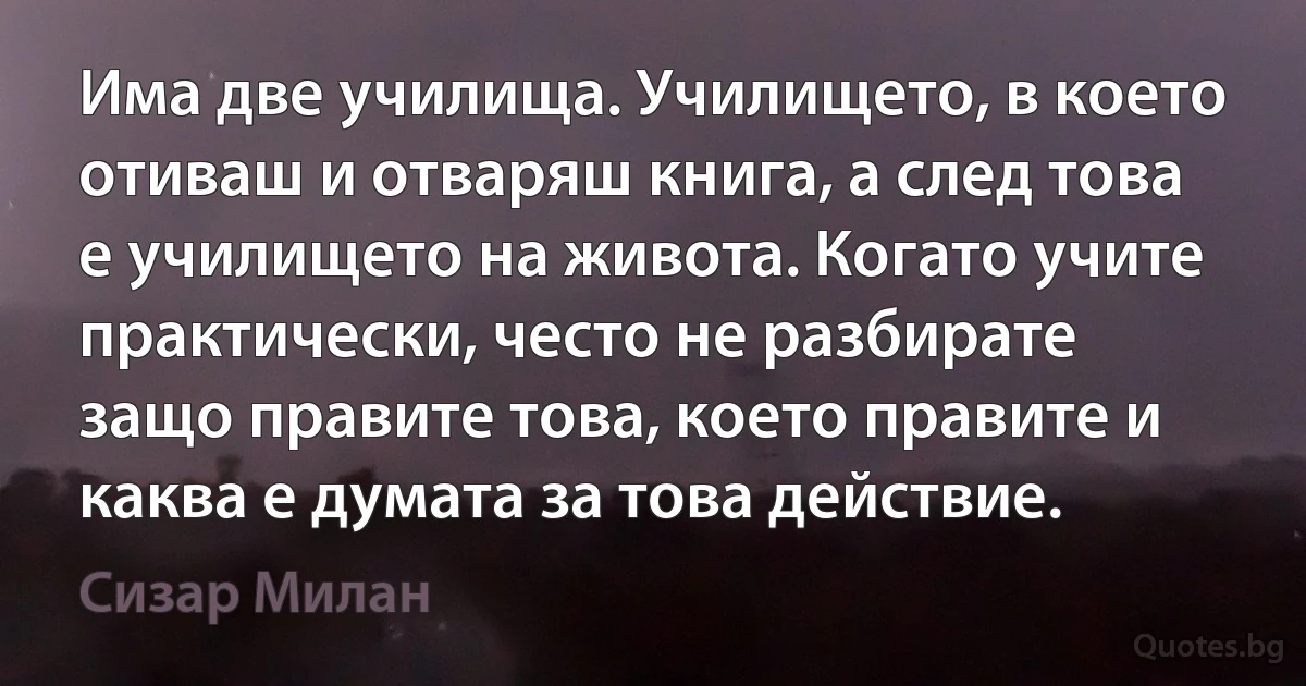 Има две училища. Училището, в което отиваш и отваряш книга, а след това е училището на живота. Когато учите практически, често не разбирате защо правите това, което правите и каква е думата за това действие. (Сизар Милан)