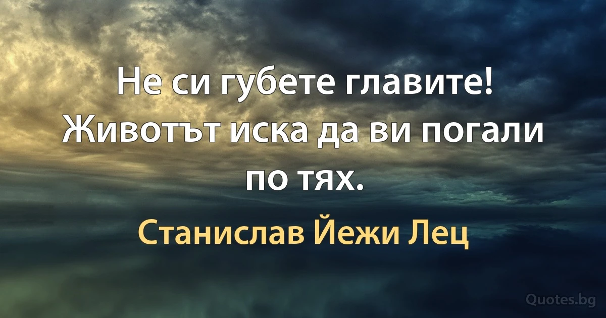 Не си губете главите! Животът иска да ви погали по тях. (Станислав Йежи Лец)