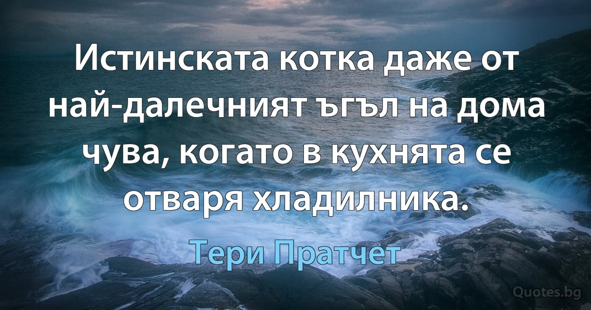 Истинската котка даже от най-далечният ъгъл на дома чува, когато в кухнята се отваря хладилника. (Тери Пратчет)