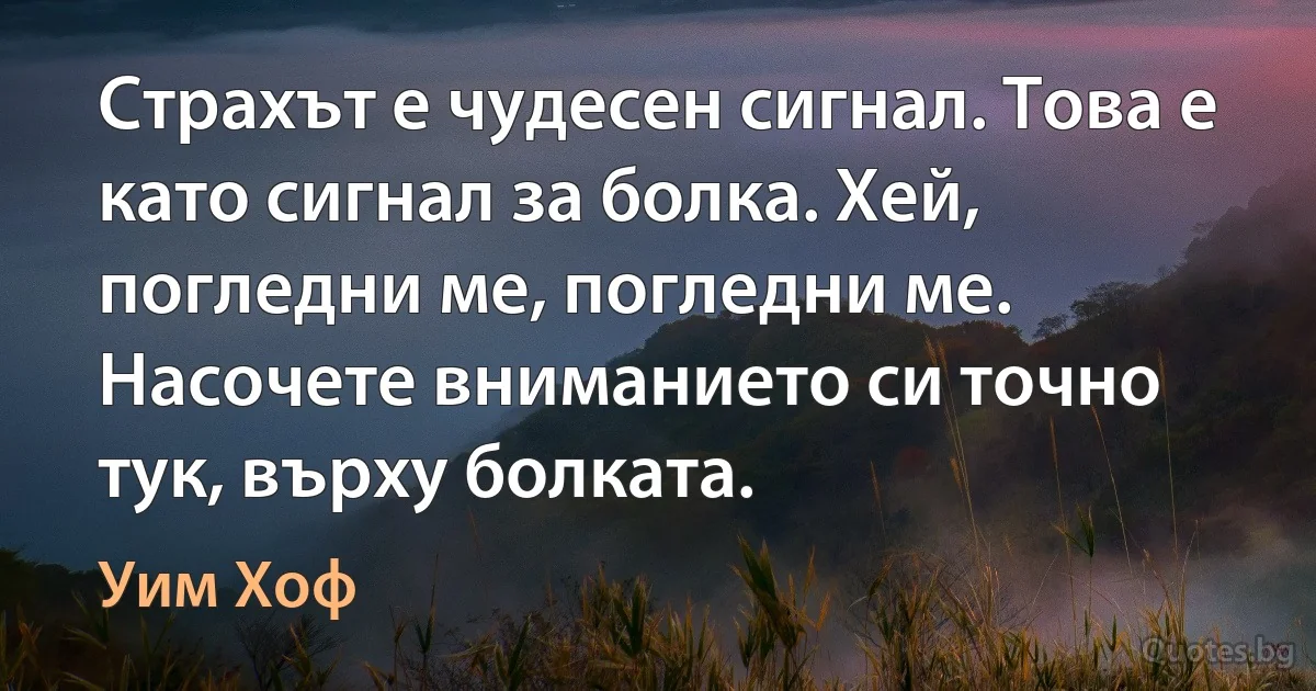 Страхът е чудесен сигнал. Това е като сигнал за болка. Хей, погледни ме, погледни ме. Насочете вниманието си точно тук, върху болката. (Уим Хоф)