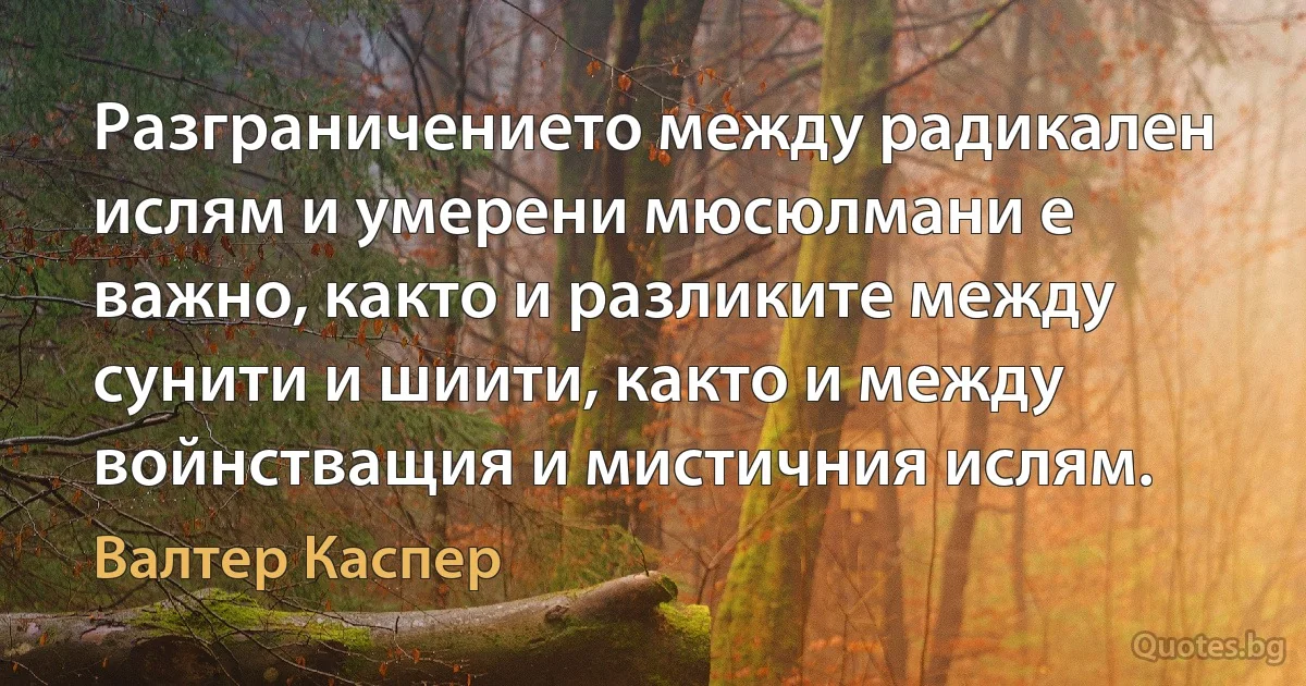 Разграничението между радикален ислям и умерени мюсюлмани е важно, както и разликите между сунити и шиити, както и между войнстващия и мистичния ислям. (Валтер Каспер)