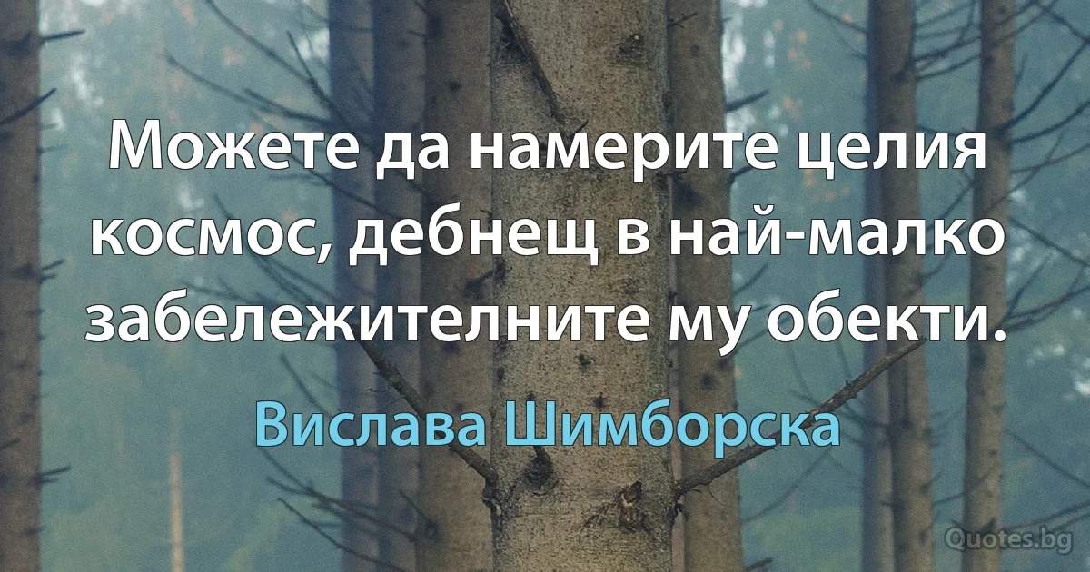 Можете да намерите целия космос, дебнещ в най-малко забележителните му обекти. (Вислава Шимборска)