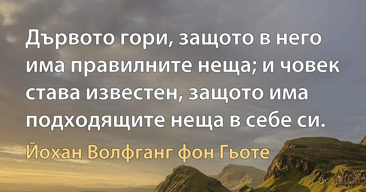 Дървото гори, защото в него има правилните неща; и човек става известен, защото има подходящите неща в себе си. (Йохан Волфганг фон Гьоте)