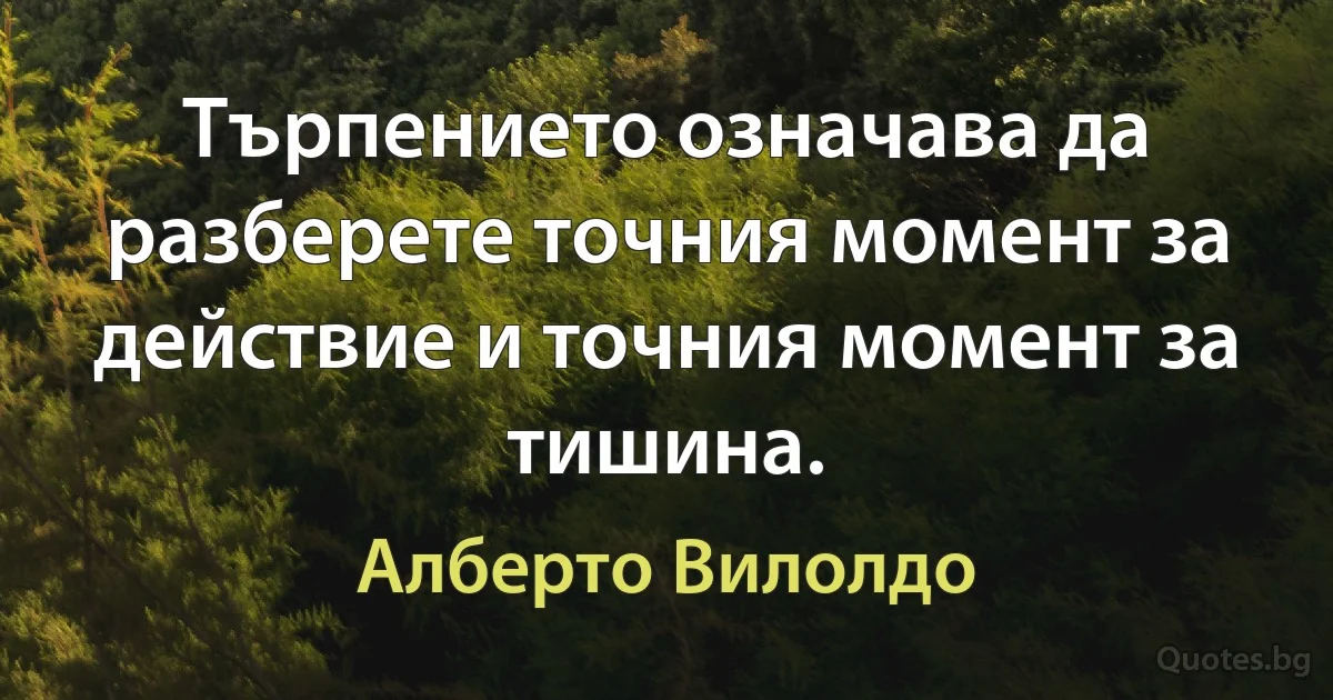 Търпението означава да разберете точния момент за действие и точния момент за тишина. (Алберто Вилолдо)