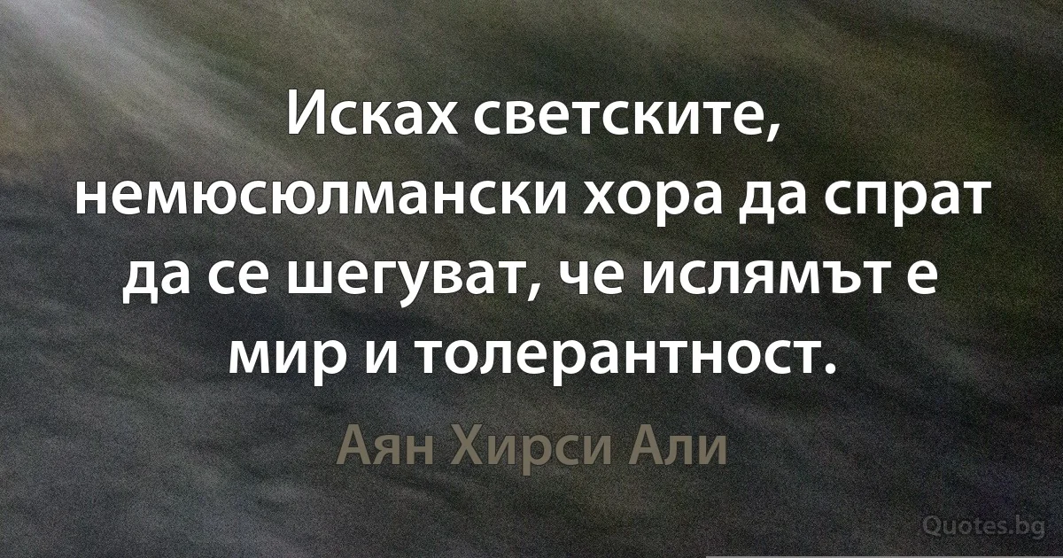 Исках светските, немюсюлмански хора да спрат да се шегуват, че ислямът е мир и толерантност. (Аян Хирси Али)