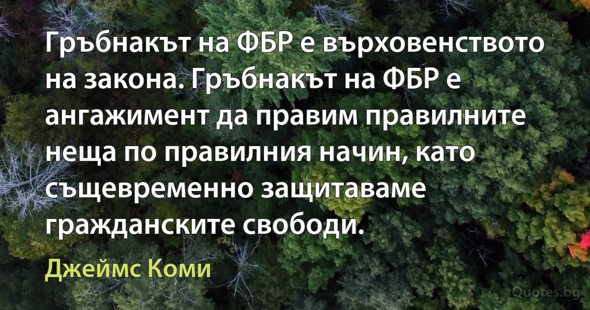 Гръбнакът на ФБР е върховенството на закона. Гръбнакът на ФБР е ангажимент да правим правилните неща по правилния начин, като същевременно защитаваме гражданските свободи. (Джеймс Коми)