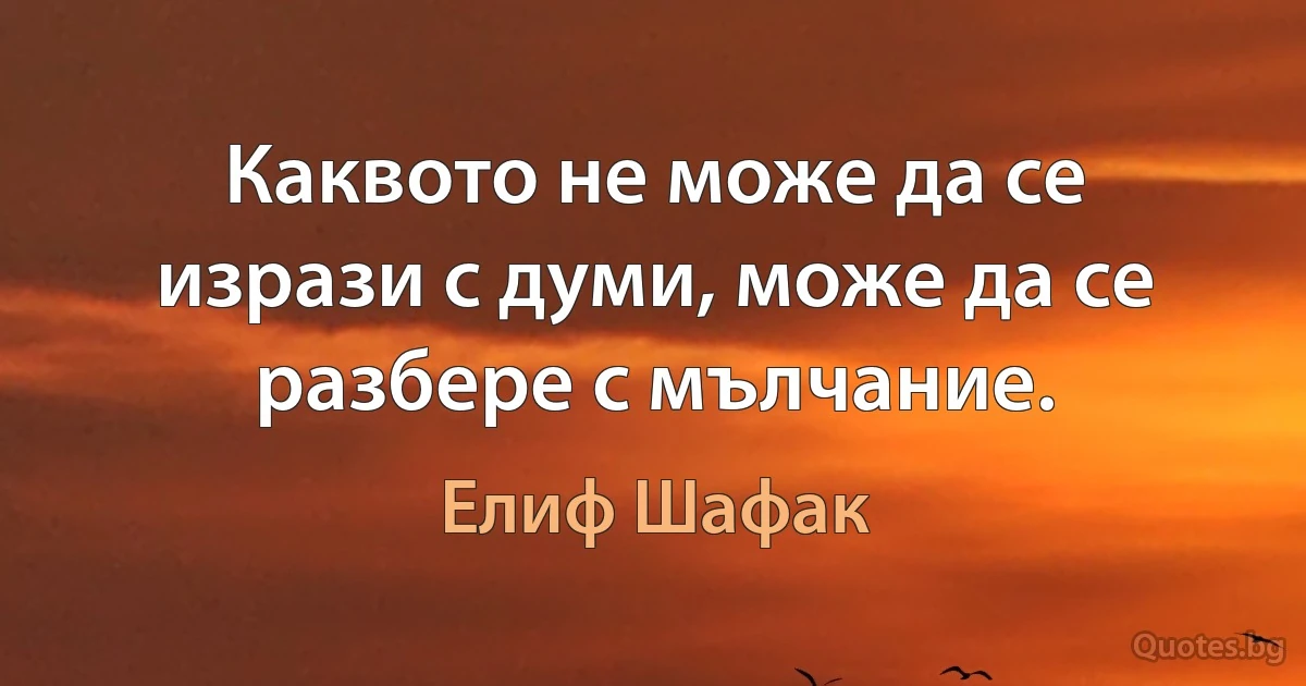 Каквото не може да се изрази с думи, може да се разбере с мълчание. (Елиф Шафак)